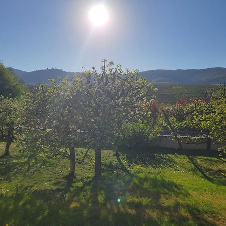 Studio Aux Pieds Des Vignes إِجويشا المظهر الخارجي الصورة